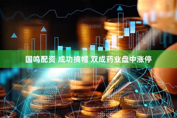 国鸣配资 成功摘帽 双成药业盘中涨停