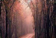 比较好的股票配资平台:炒股配资平台大全首选加杠网-9月1日国内四大证券报纸、重要财经媒体头版头条内容精华摘要